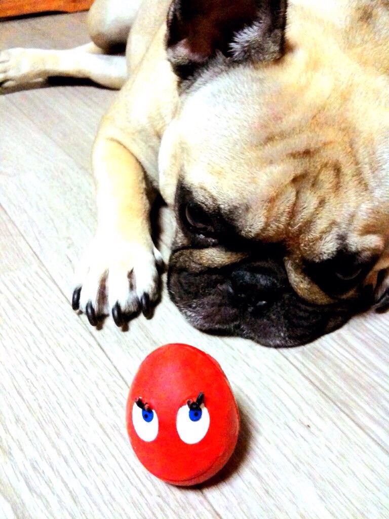 はっぴーはっぴー人生