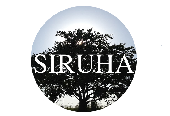 High Lowを観たゆる い感想 第６話 ハイアンドロー ドラマ