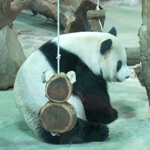 紅茶（飲料＆食品）に関するWebメディア