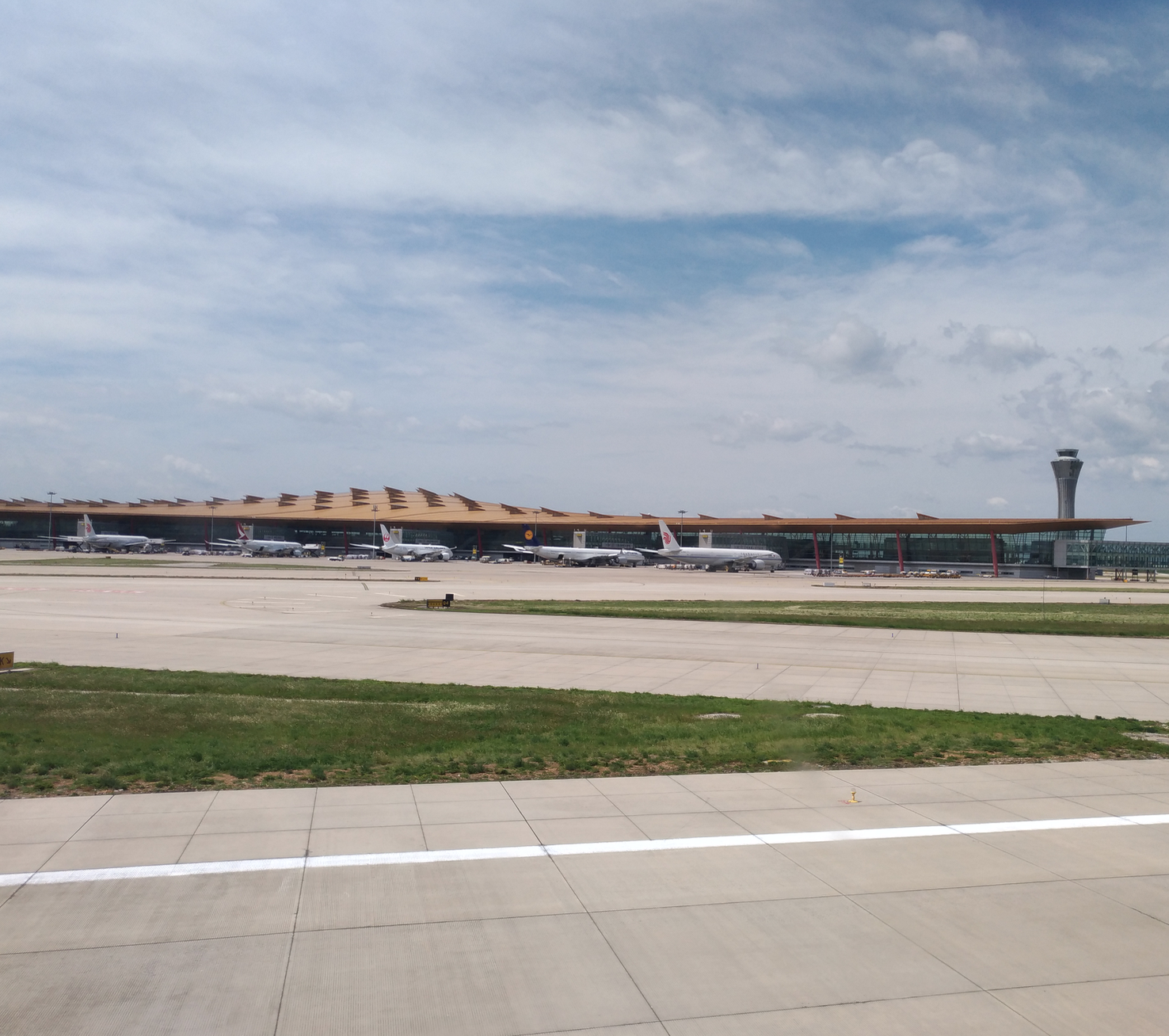 紅茶（飲料＆食品）に関するWebメディア