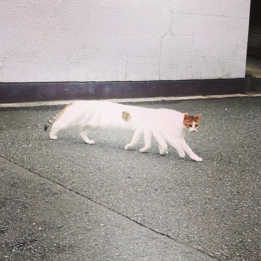 鬱（メンタル）に関するWebメディア