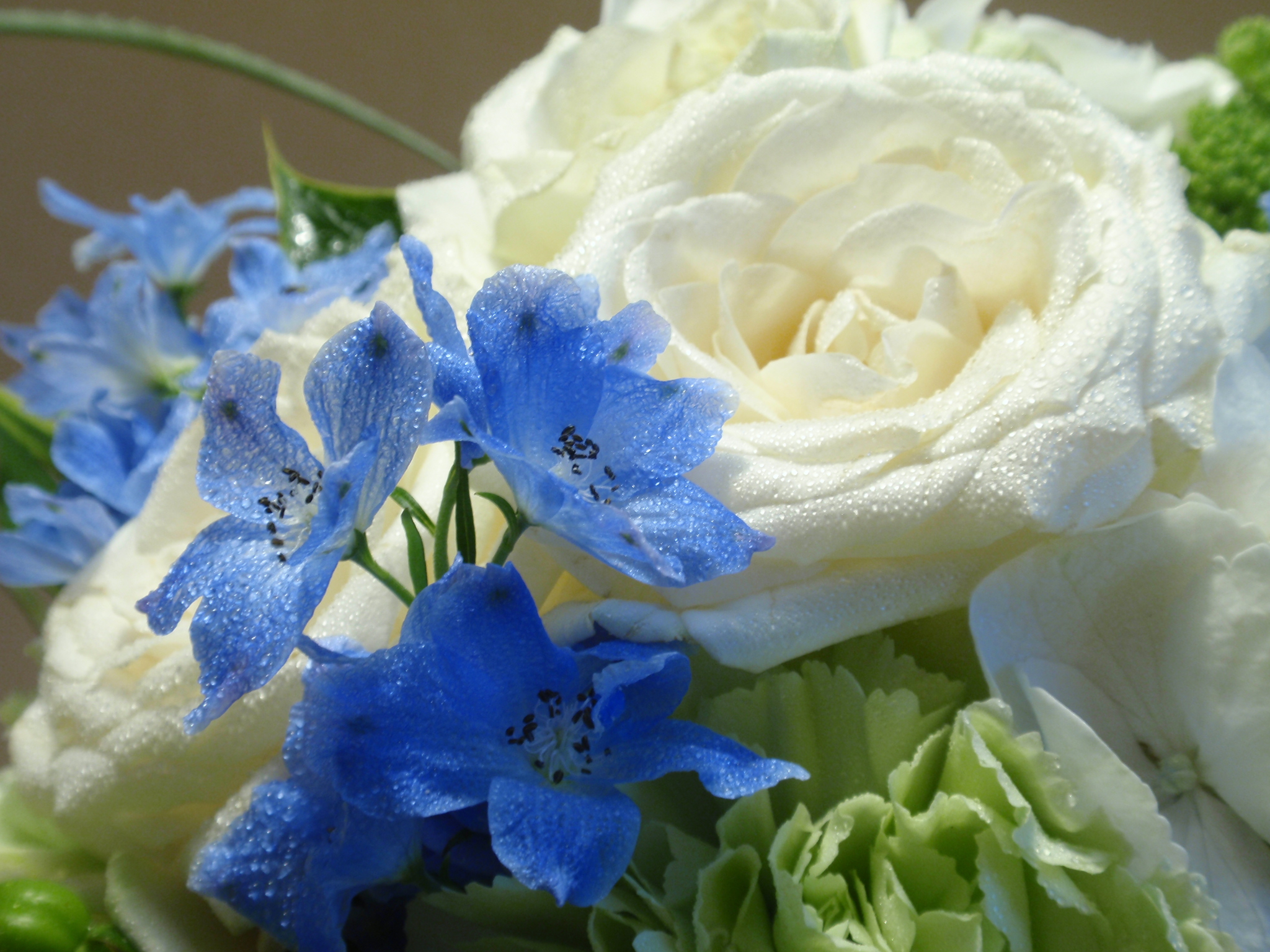 優雅ガガーリン 世界 を 変え た 108 分