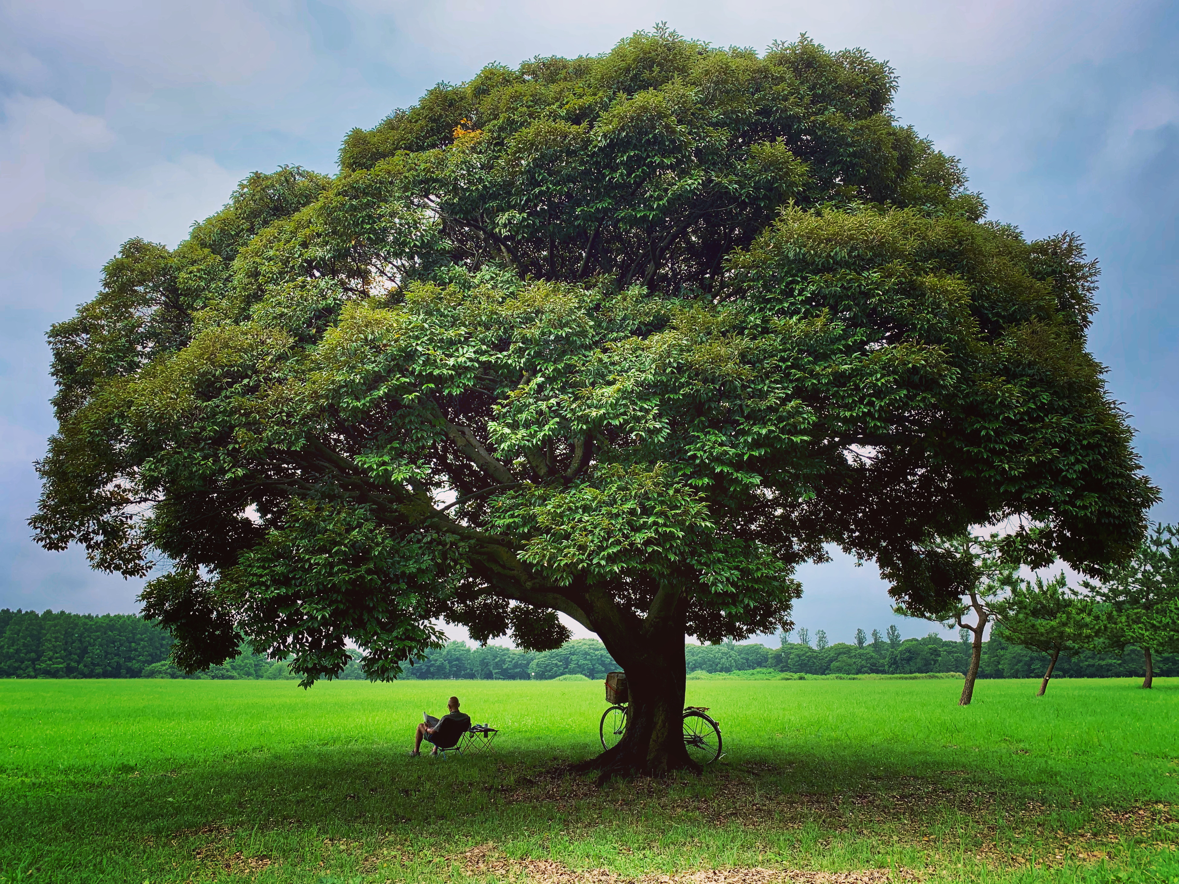 車（自動車＆自転車＆バイク）に関するWebメディア