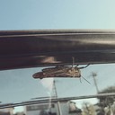 精神障害・障害者（メンタル）に関するWebメディア