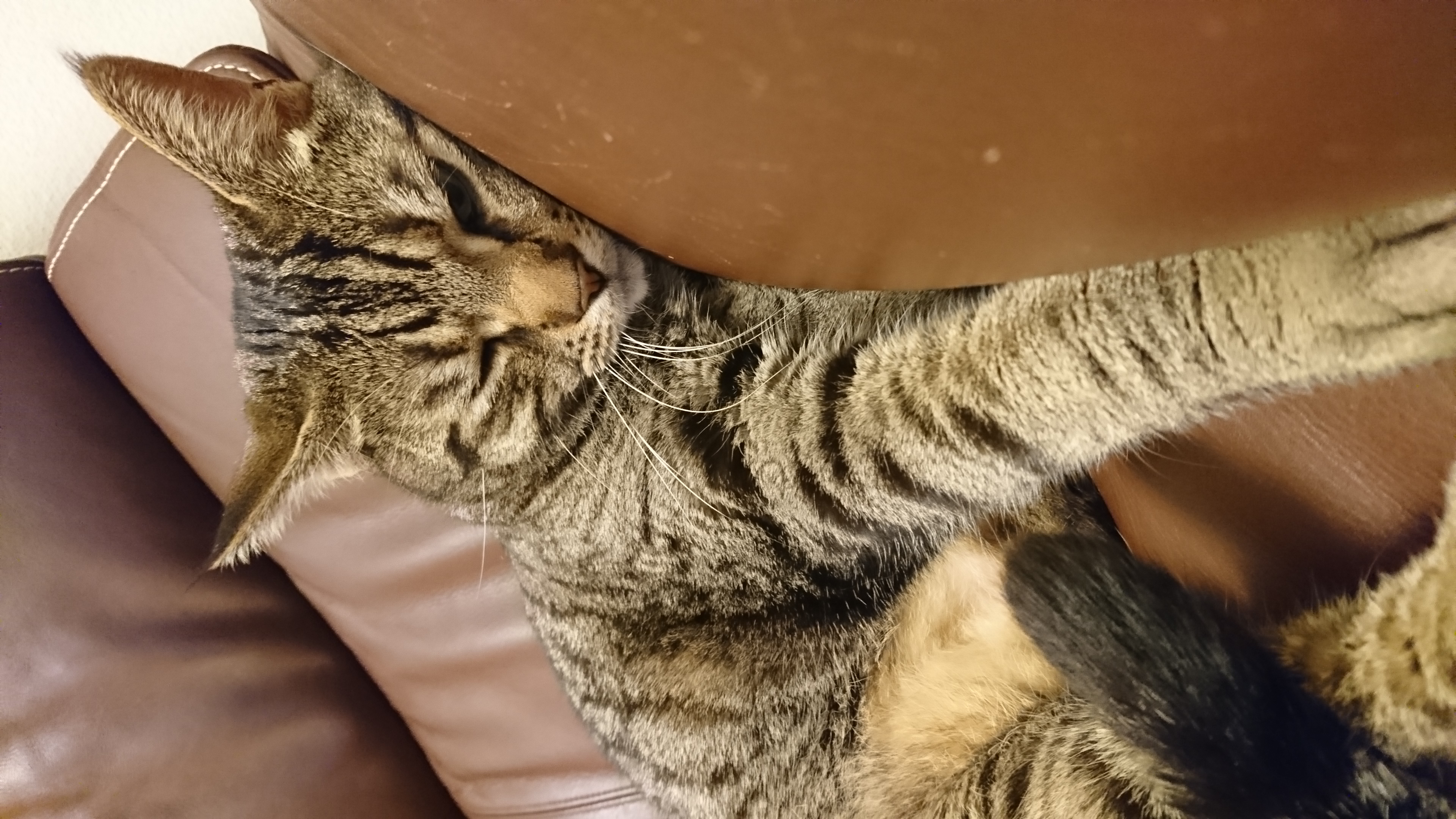 バイク（自動車＆自転車＆バイク）に関するWebメディア