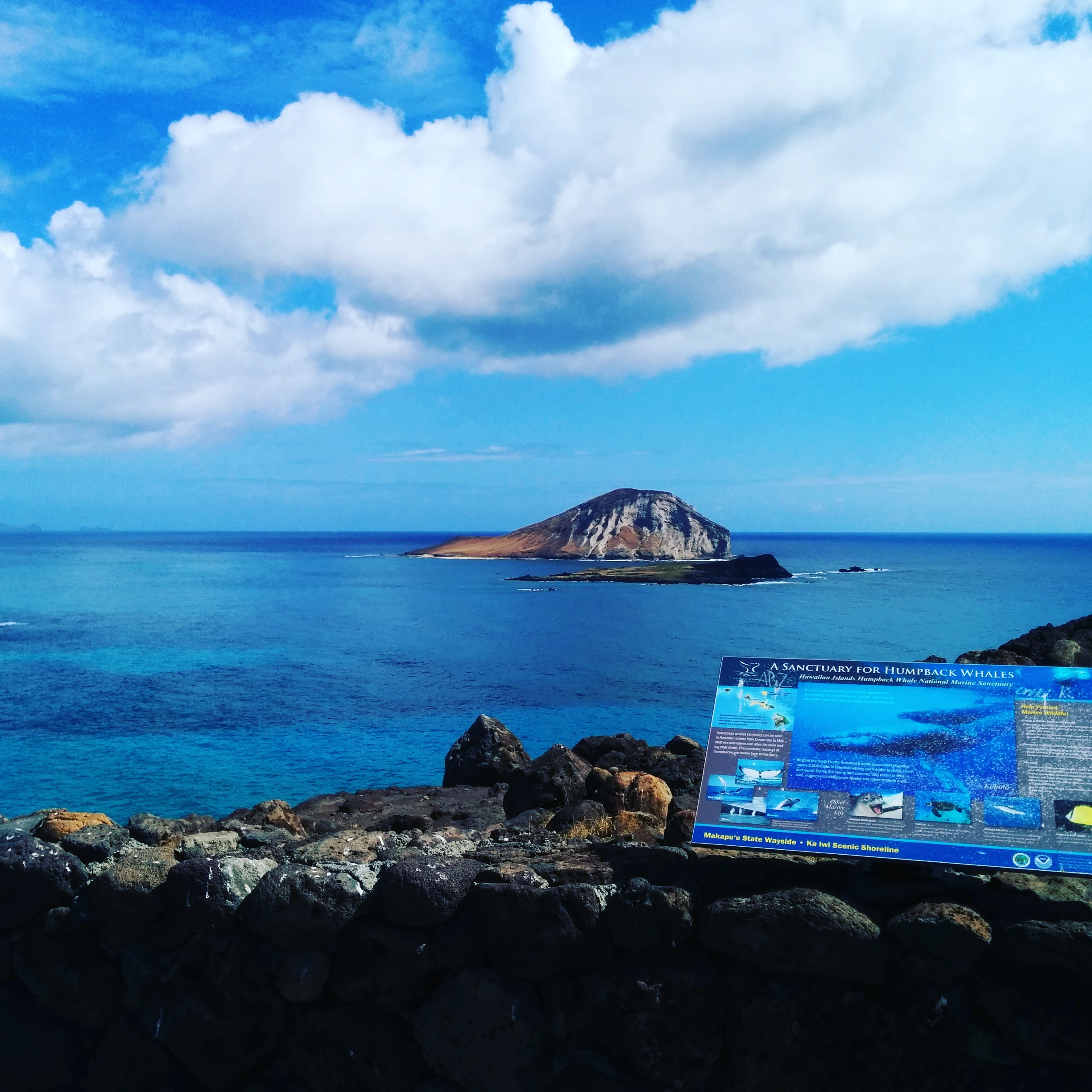 kikkawaryuハワイ愛