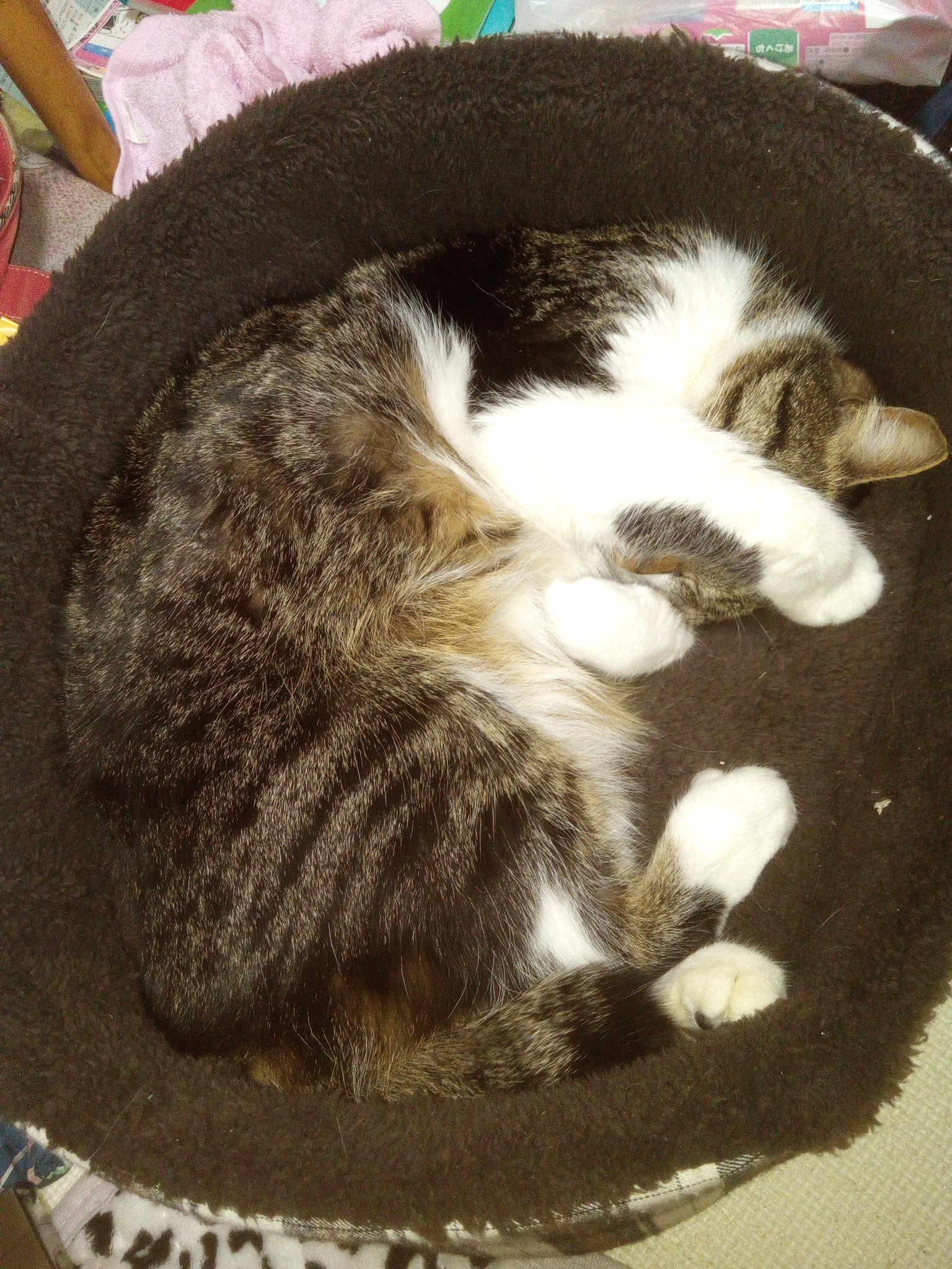 茨城県（旅行＆地域）に関するWebメディア