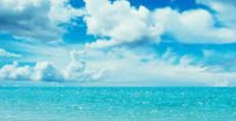 鬱（メンタル）に関するWebメディア