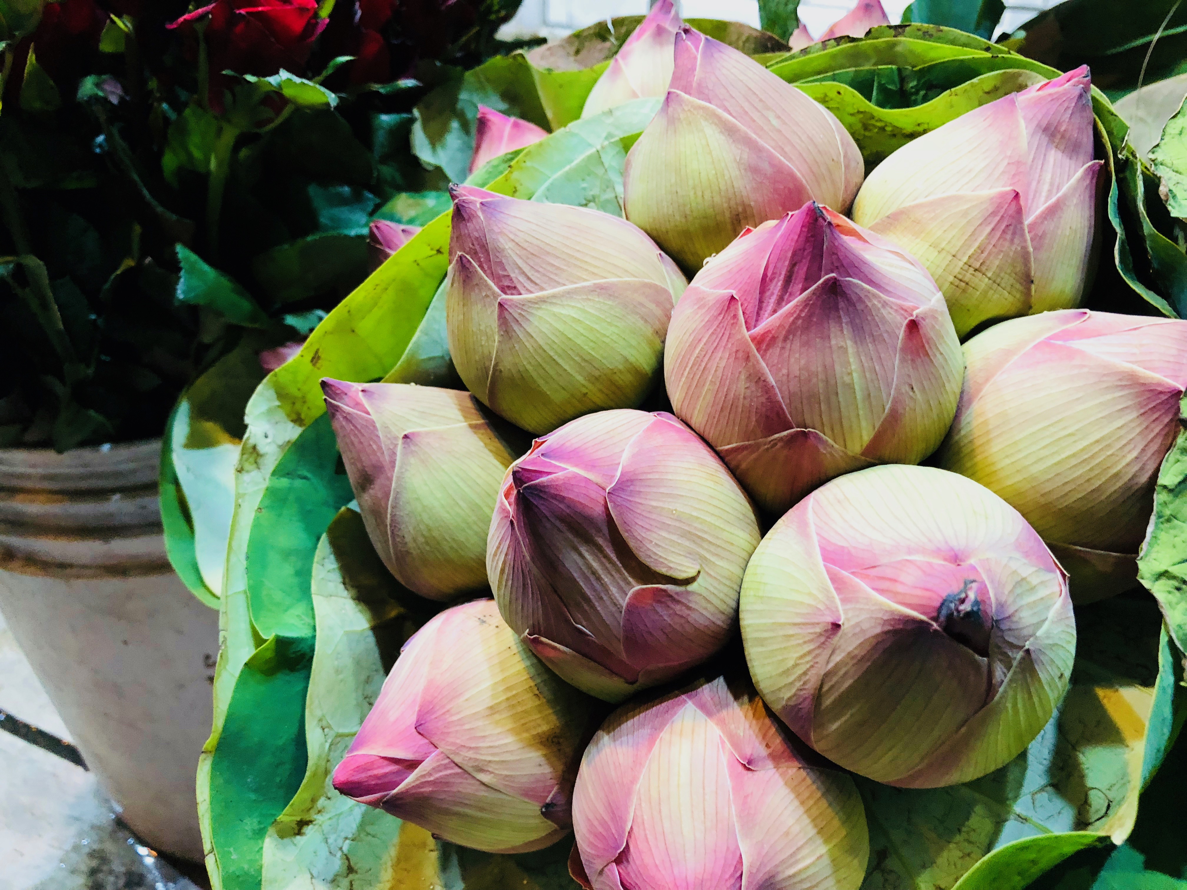 コスメ（美容＆ファッション）に関するWebメディア