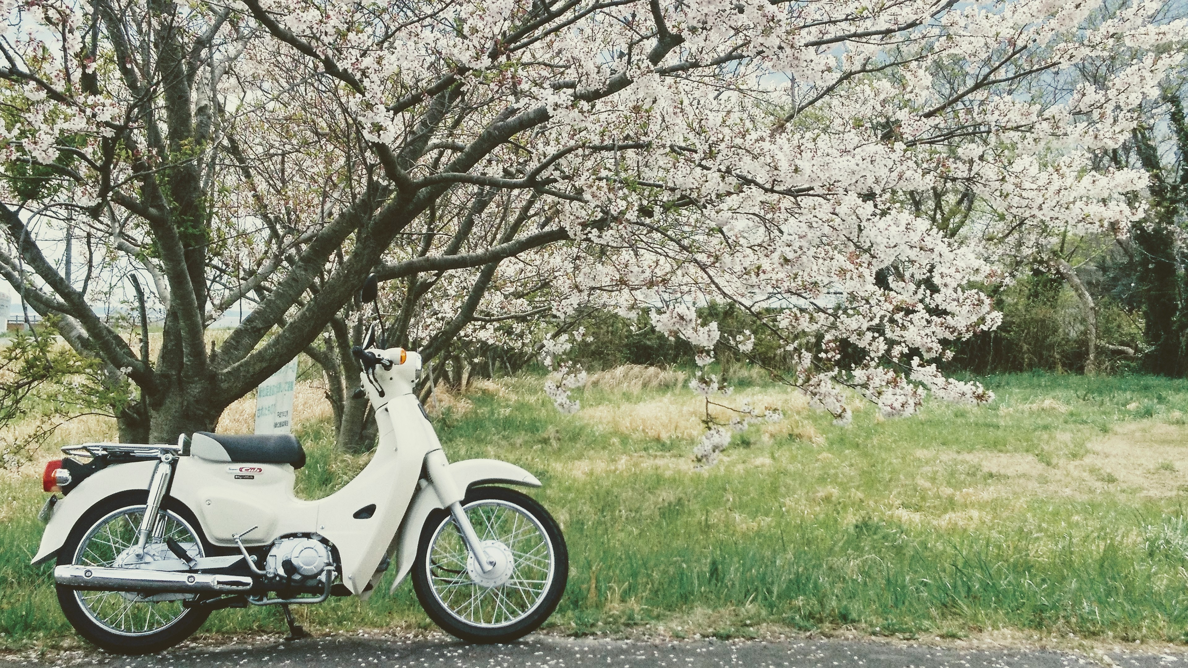 ツーリング（自動車＆自転車＆バイク）に関するWebメディア