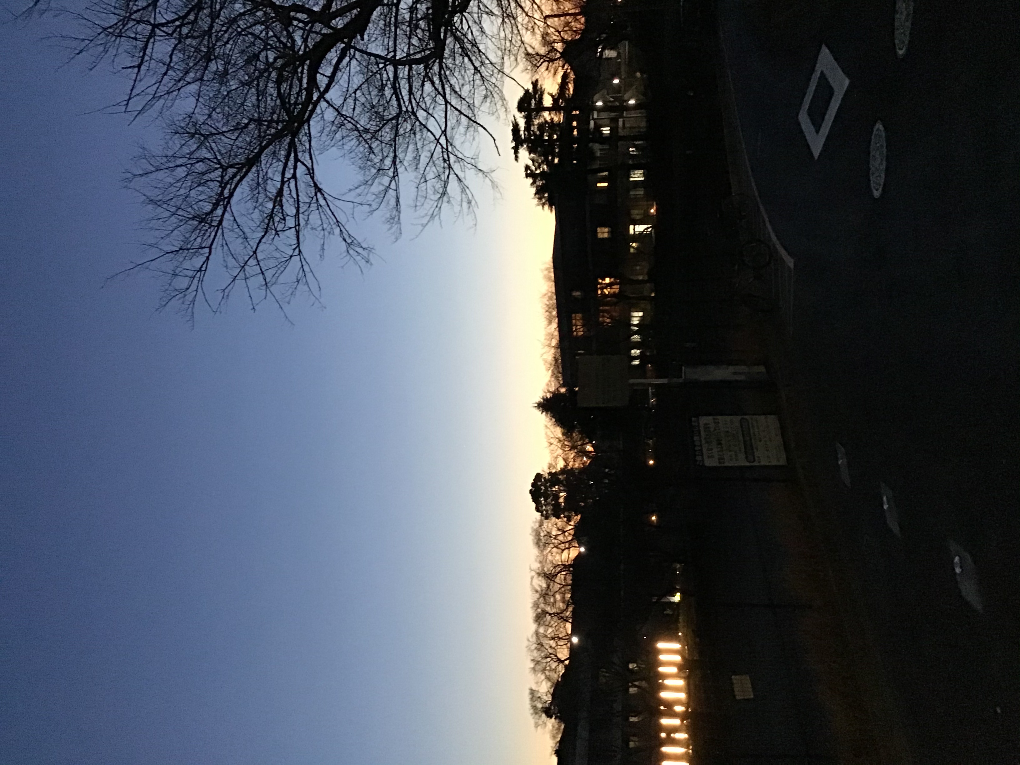 料理（料理）に関するWebメディア