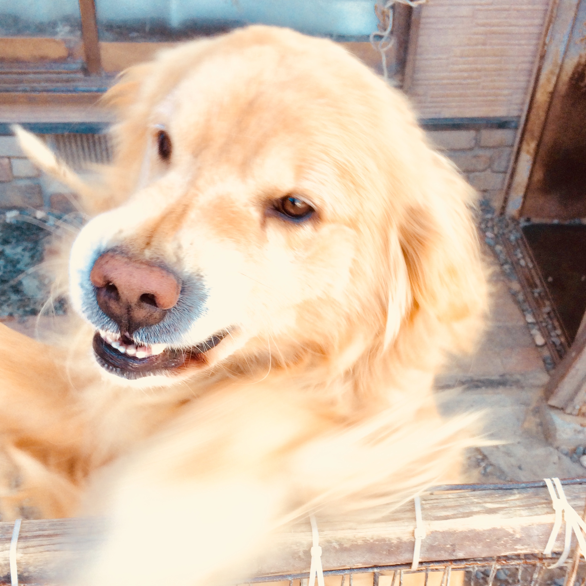 社会福祉（福祉）に関するWebメディア
