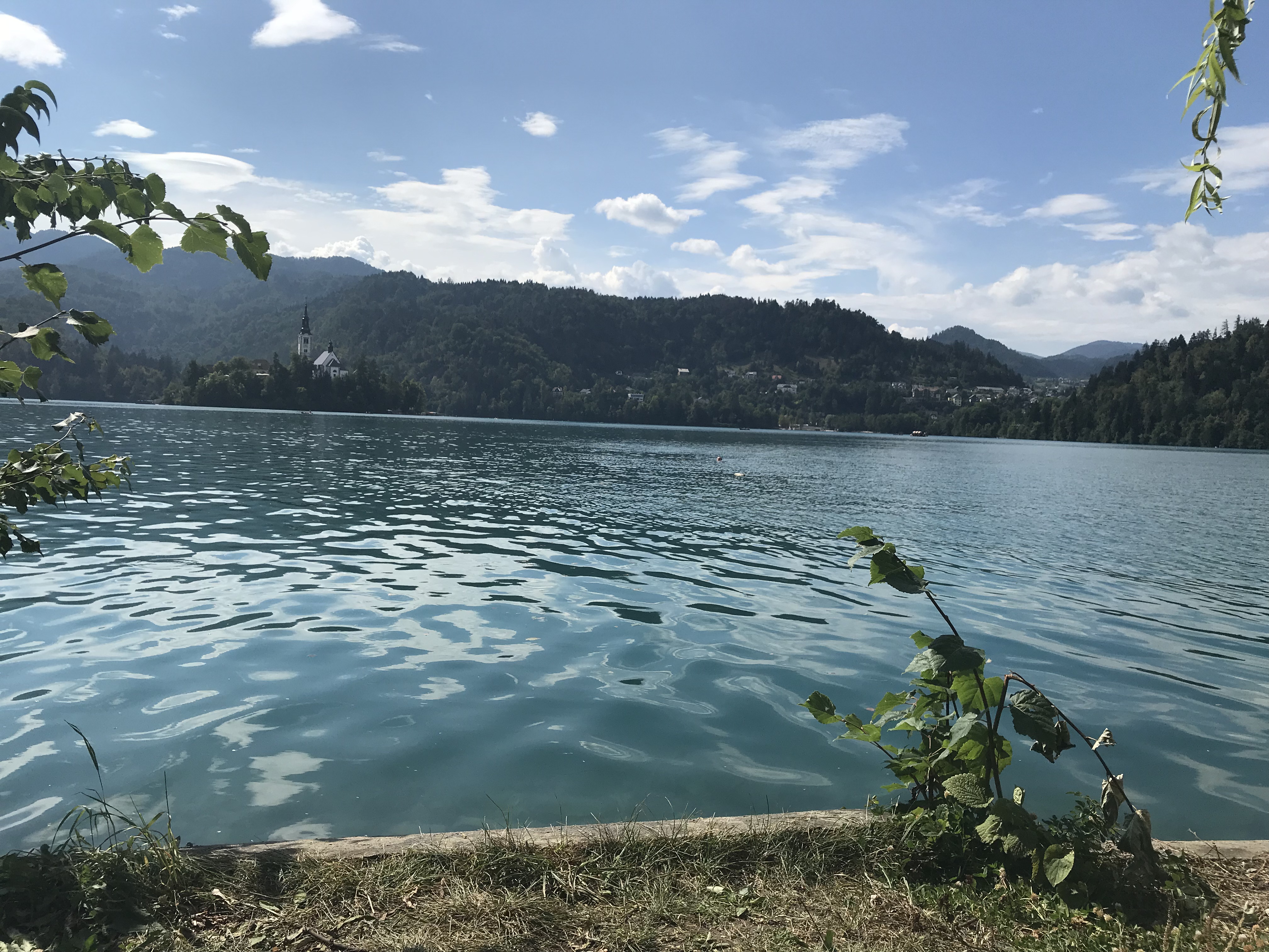 車（自動車＆自転車＆バイク）に関するWebメディア