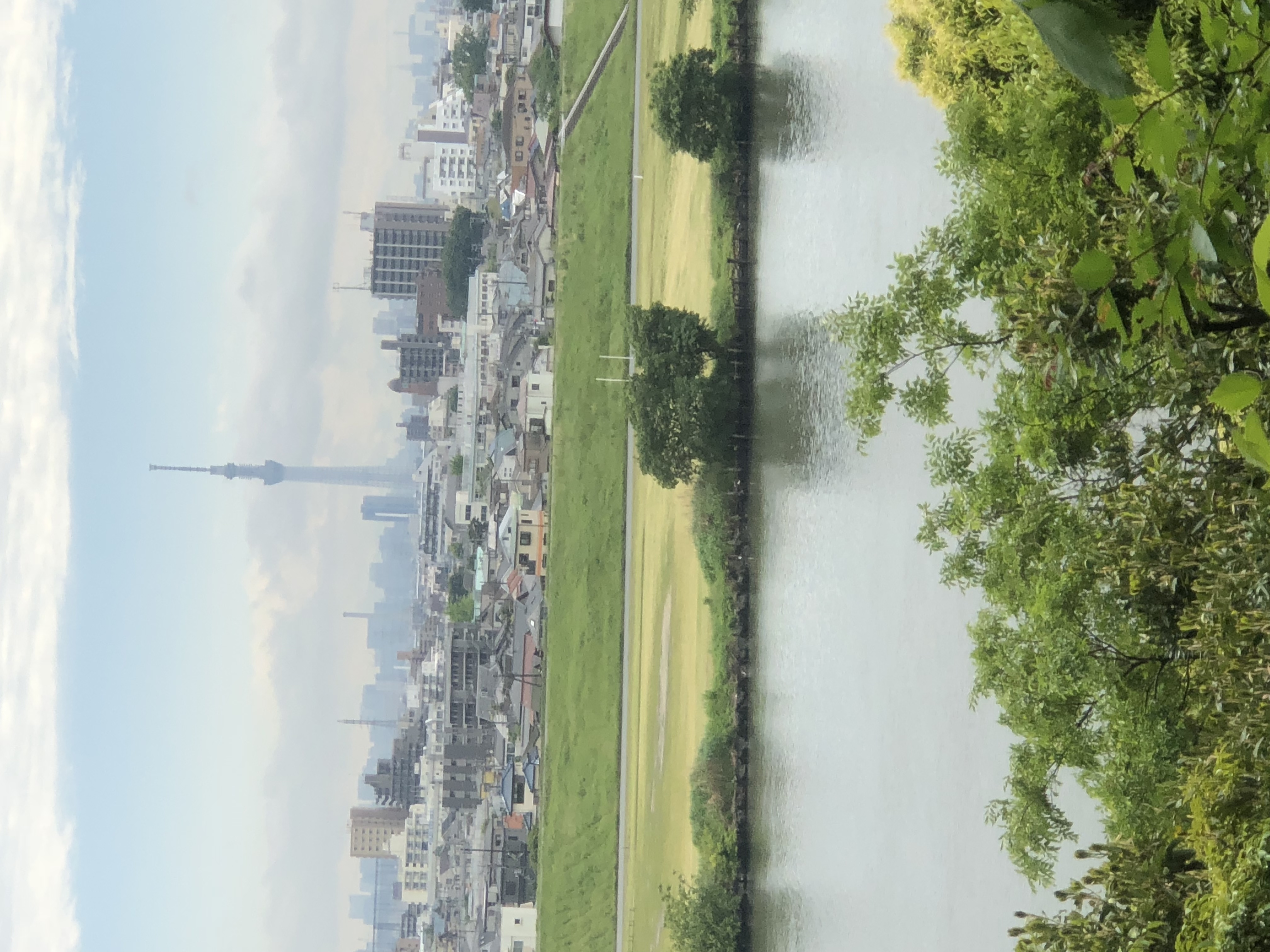 精神障害（メンタル）に関するWebメディア