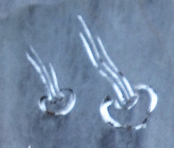 園芸（住まい＆インテリア）に関するWebメディア