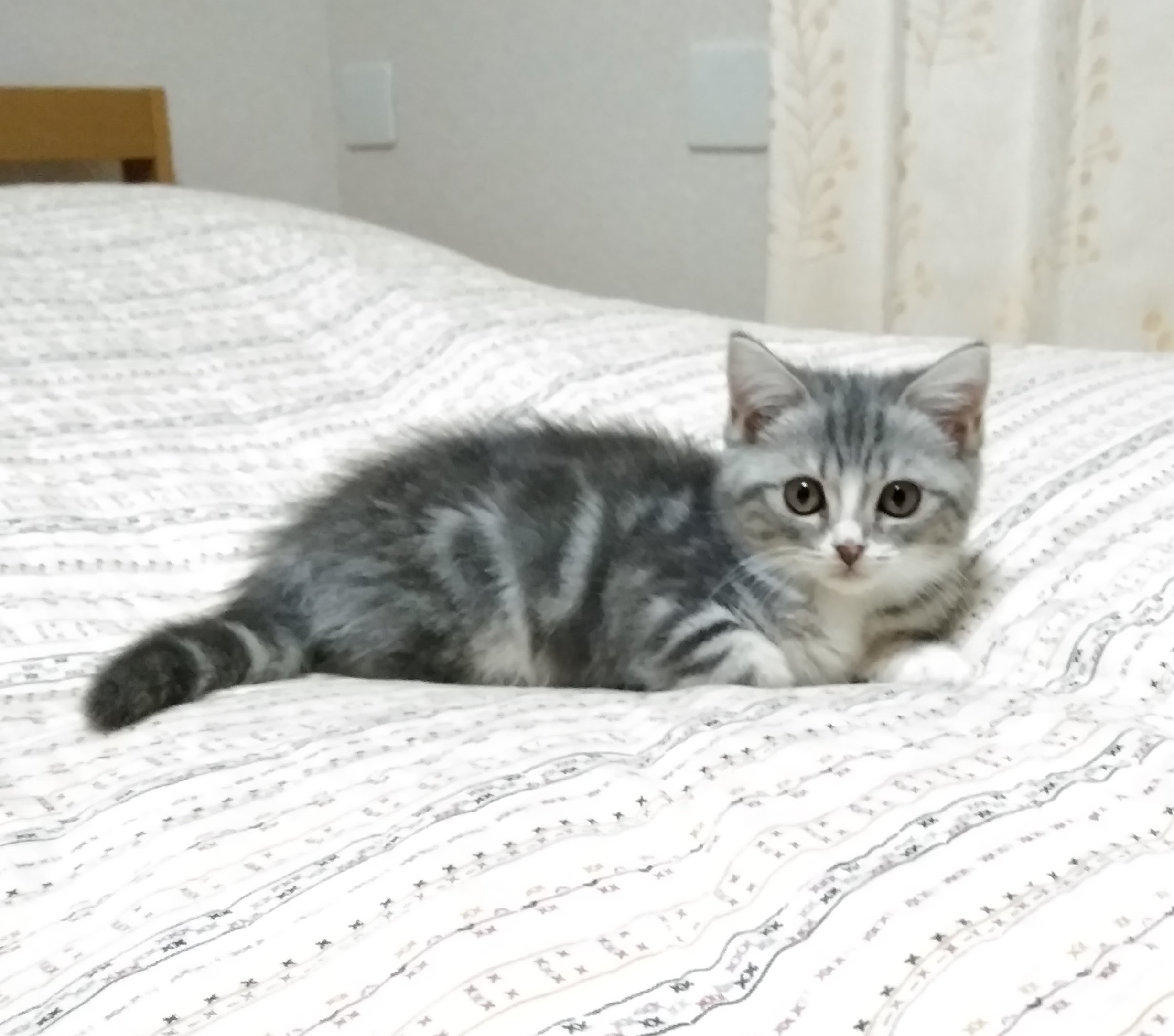 コスメ（美容＆ファッション）に関するWebメディア