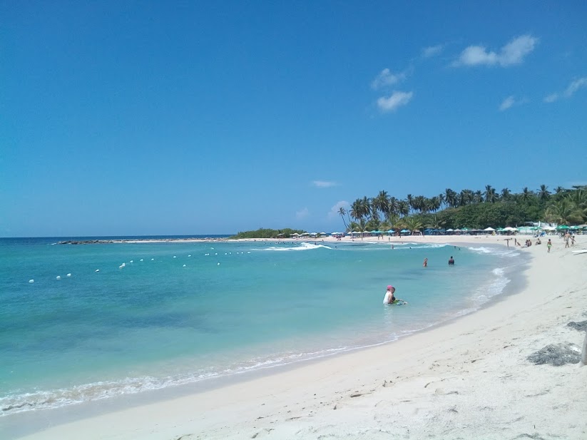 精神障害・障害者（メンタル）に関するWebメディア