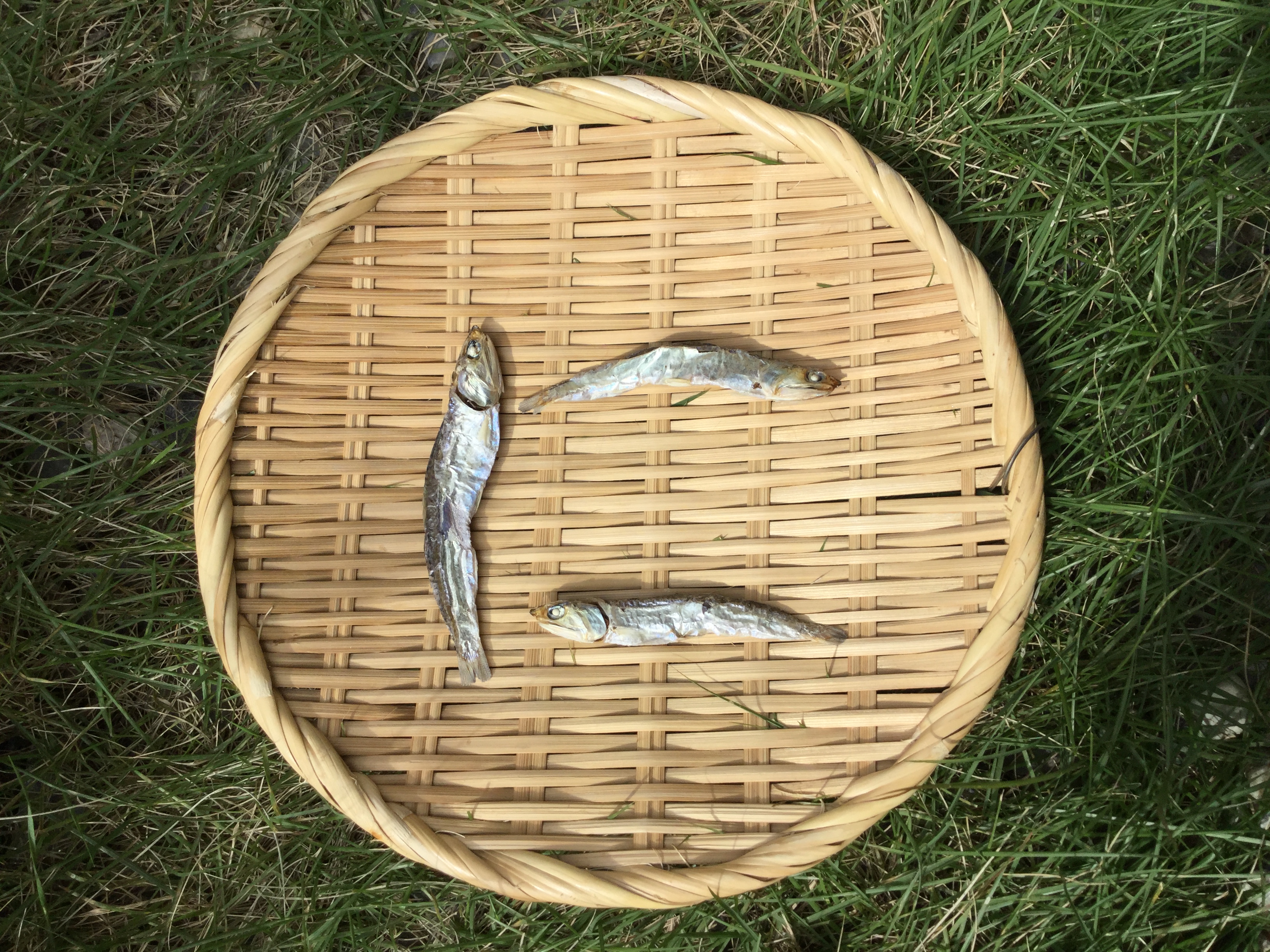 車（自動車＆自転車＆バイク）に関するWebメディア