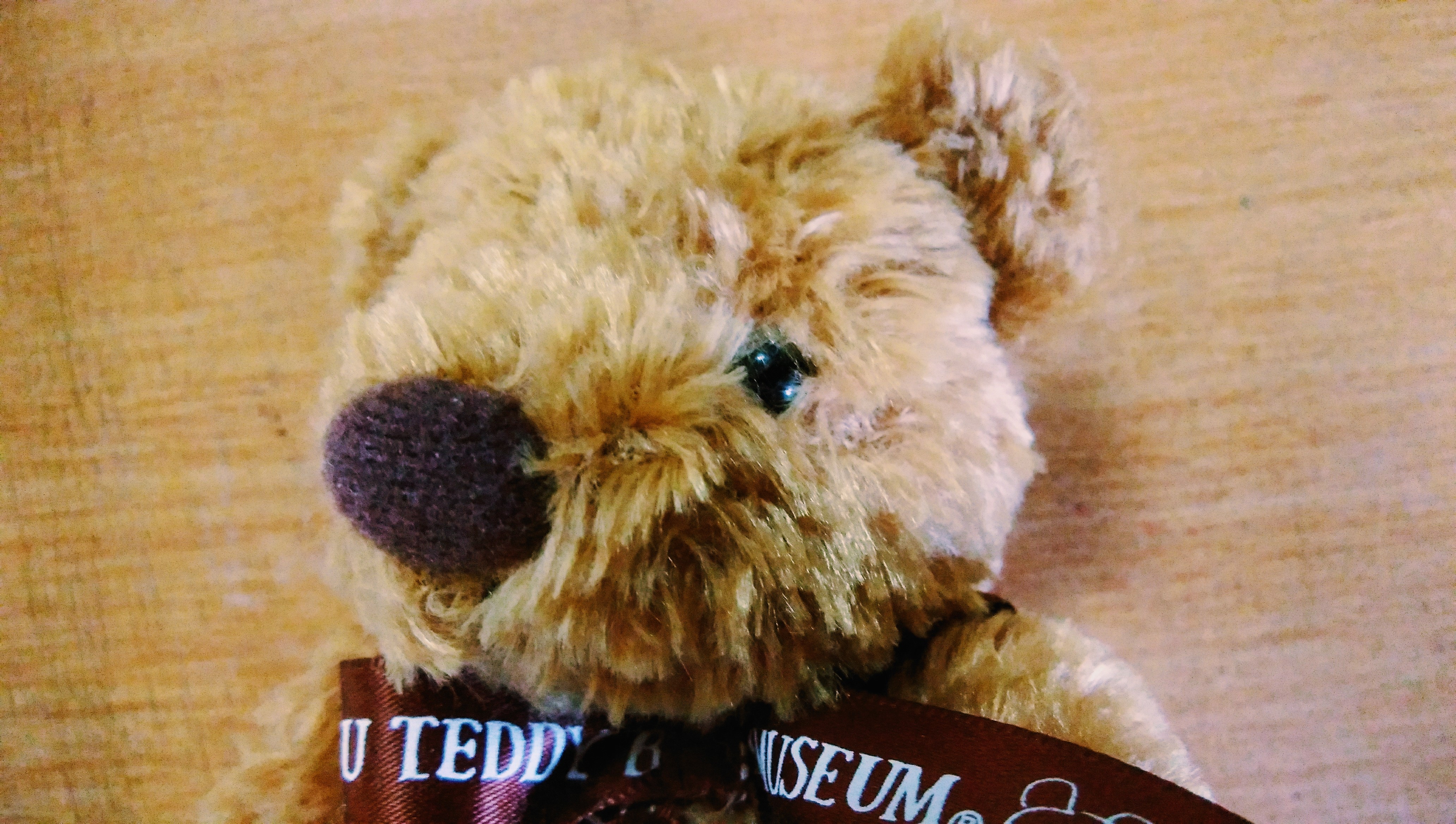 精神障害（メンタル）に関するWebメディア