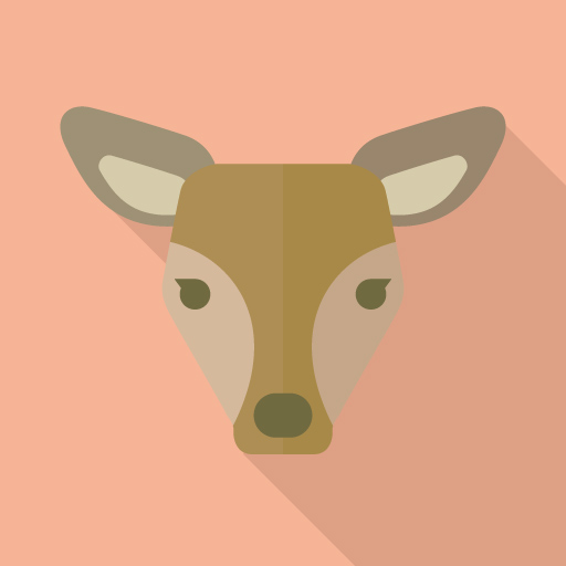 コスメ（美容＆ファッション）に関するWebメディア