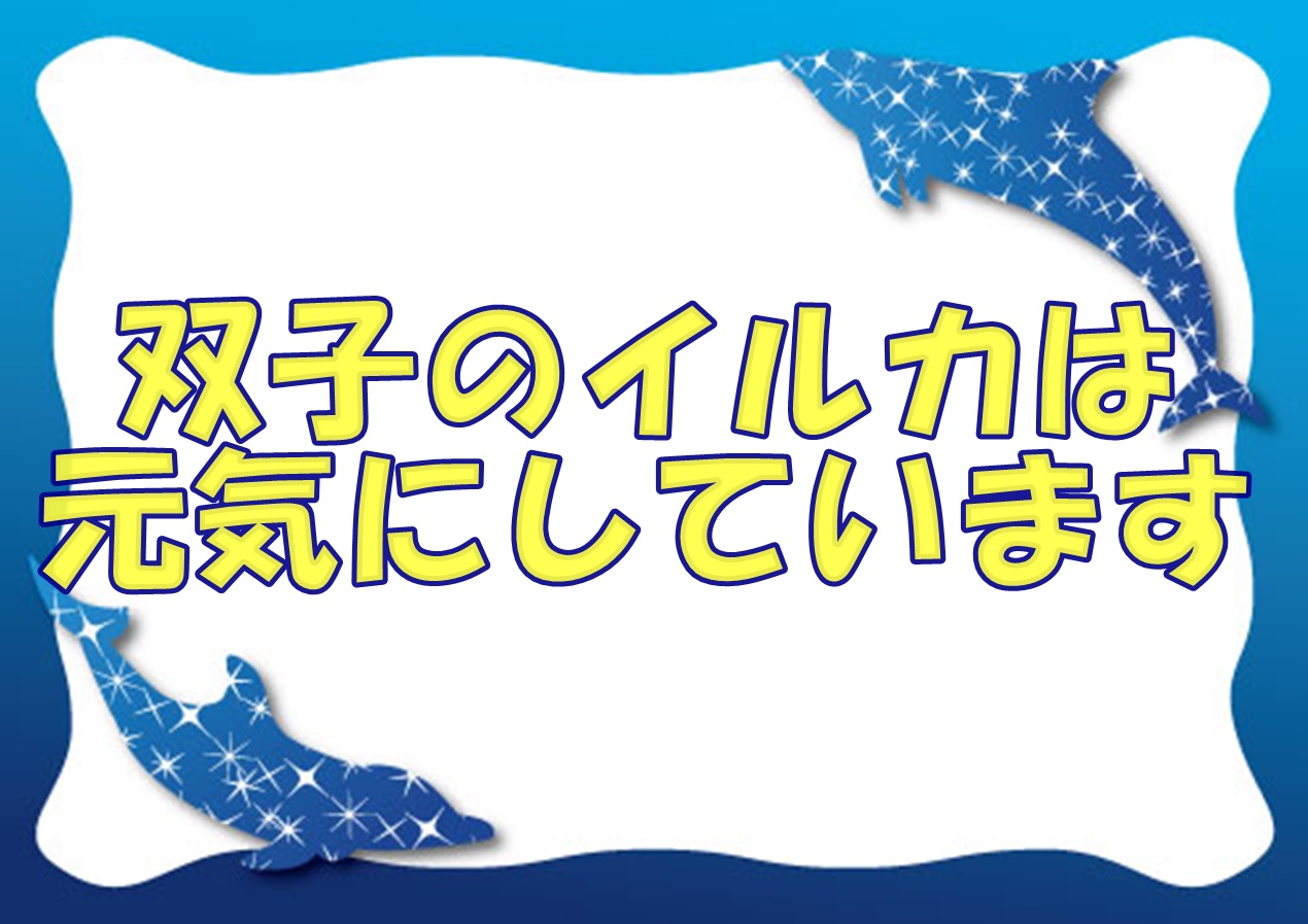 手芸（趣味）に関するWebメディア