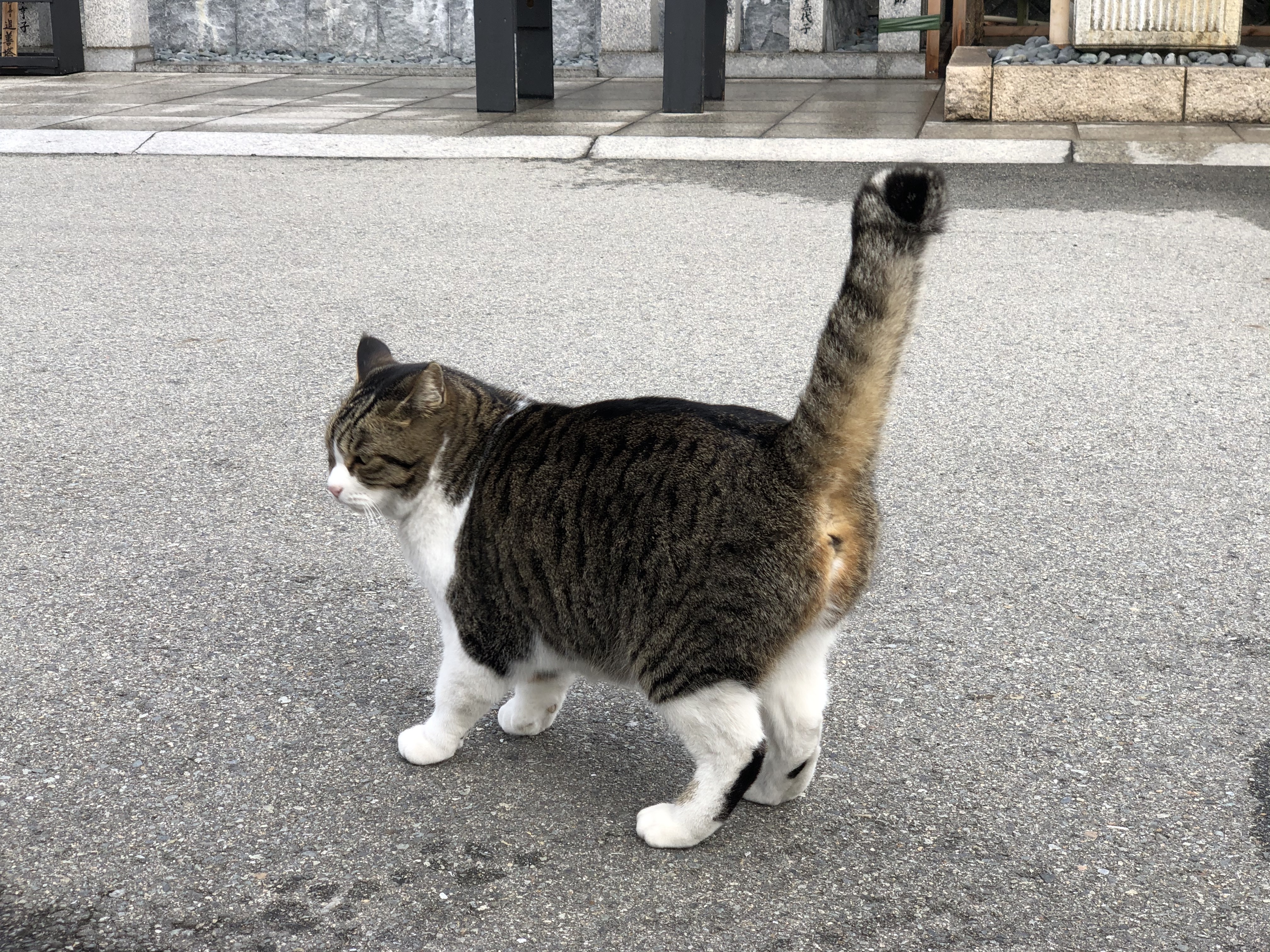 手芸（趣味）に関するWebメディア