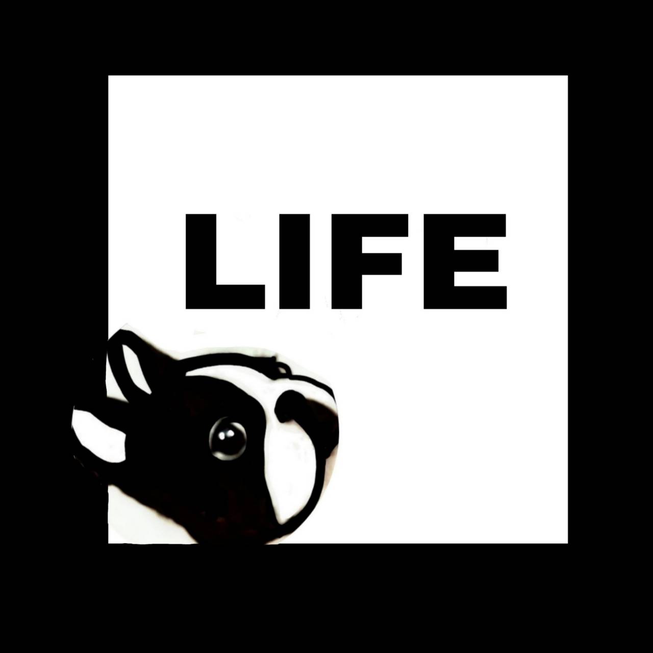 カルディ（飲料＆食品）に関するWebメディア