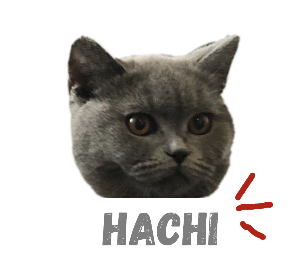 ドライブ（自動車＆自転車＆バイク）に関するWebメディア