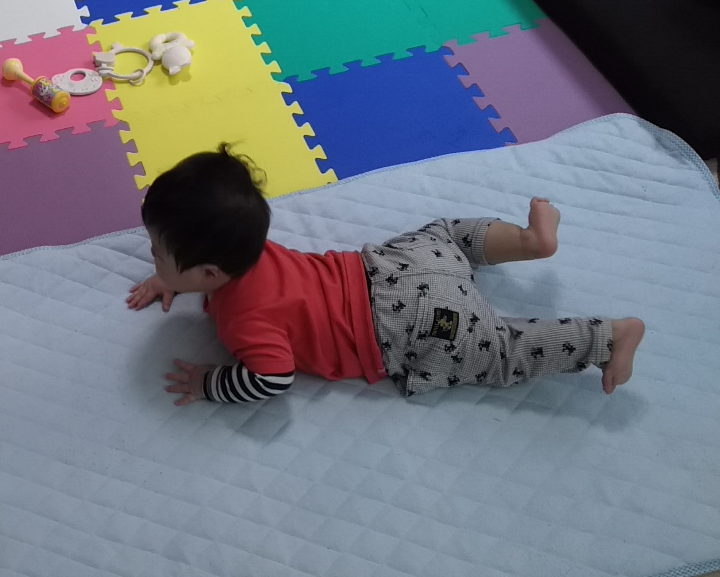 発達障害ボーダーの息子との日々