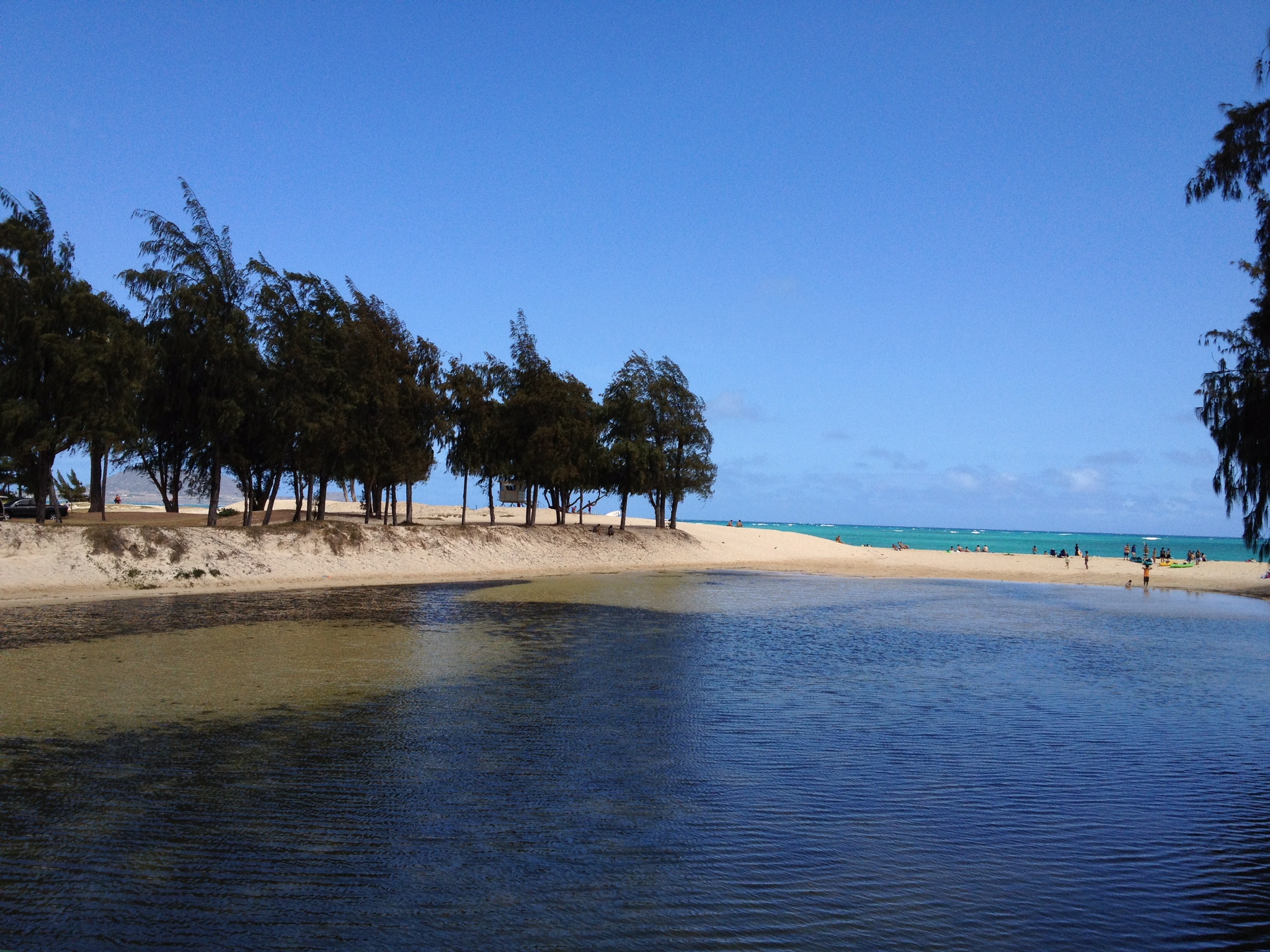 車（自動車＆自転車＆バイク）に関するWebメディア