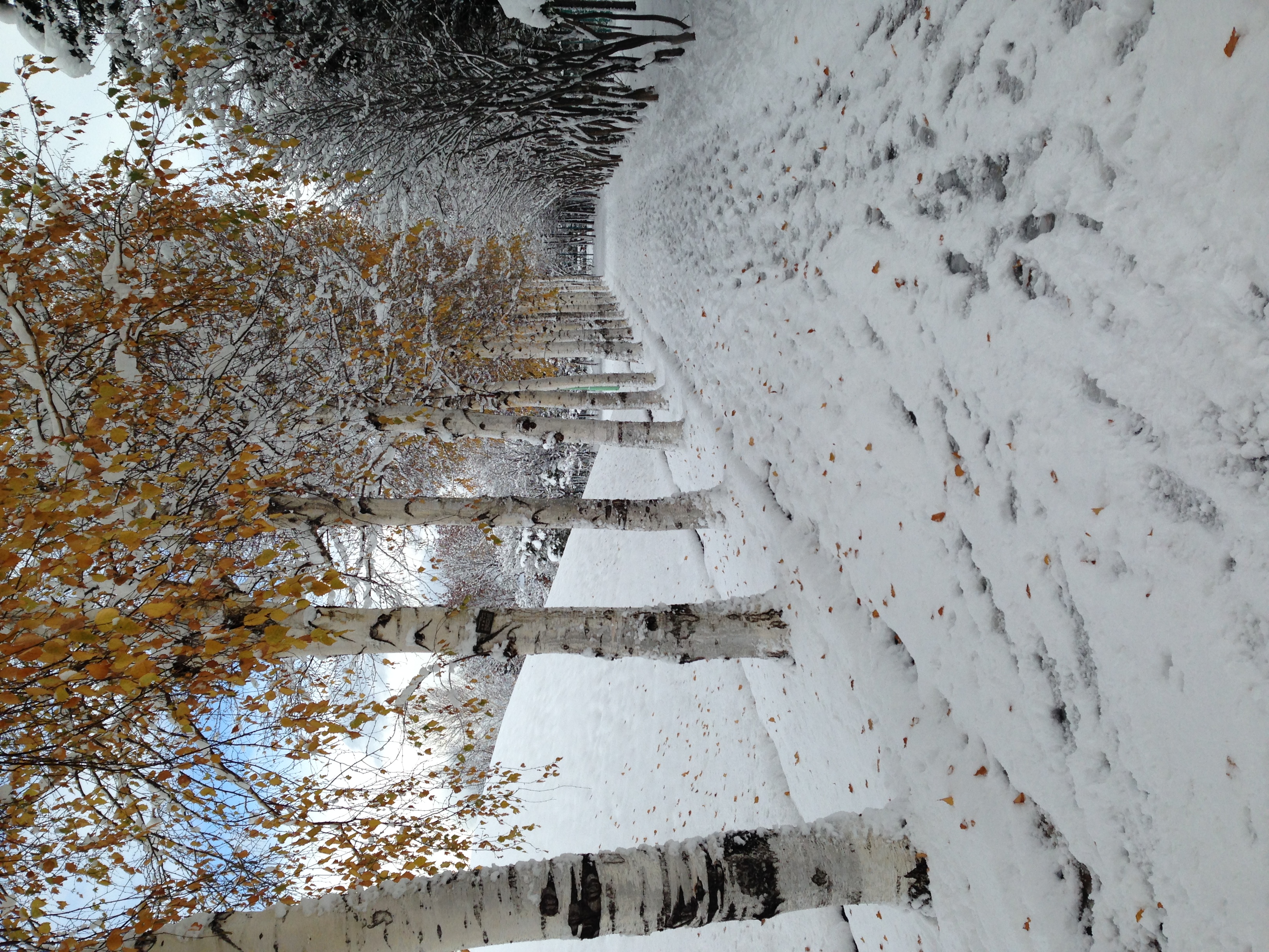 料理レシピ・料理（料理）に関するWebメディア