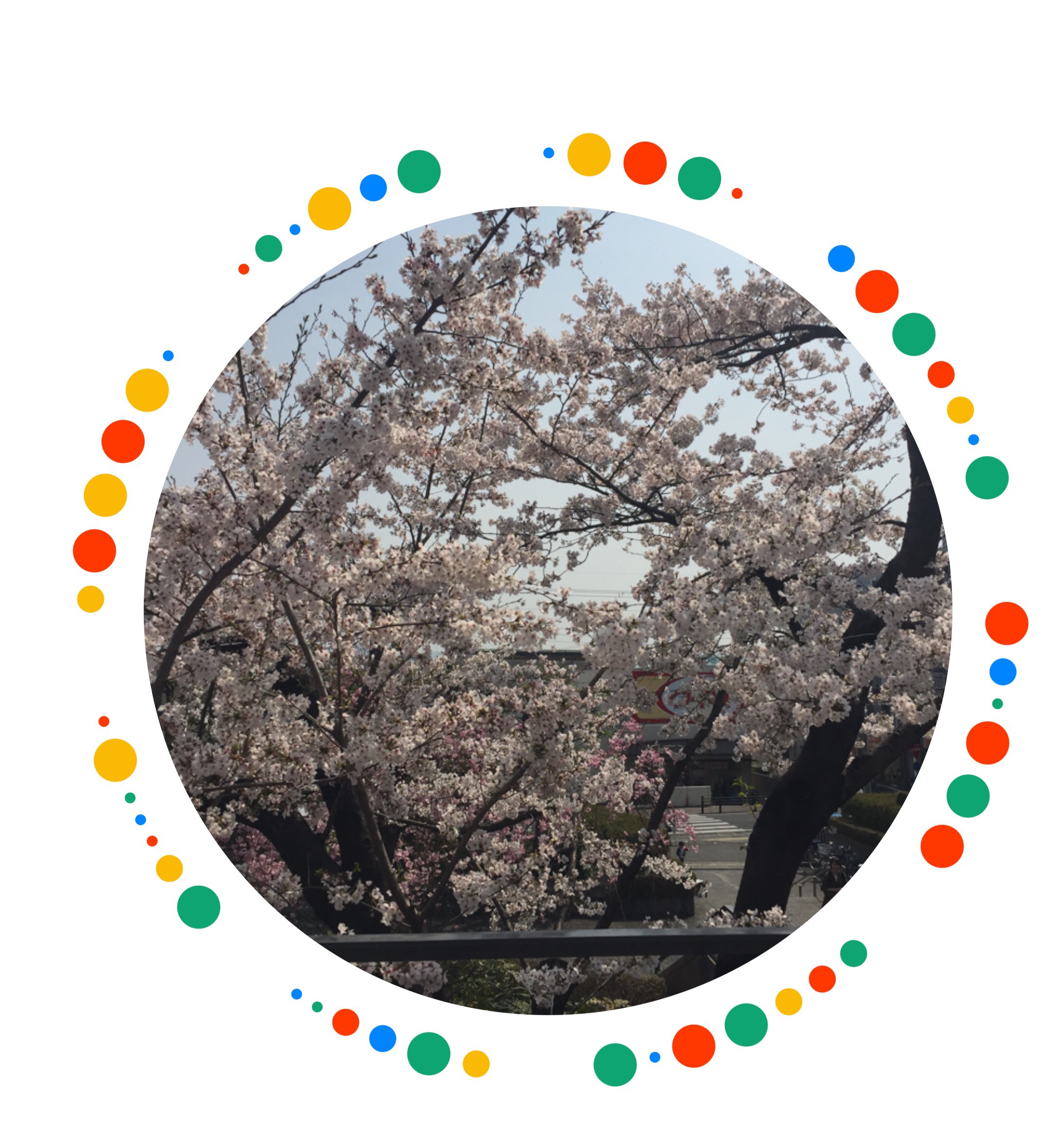 料理レシピ（料理）に関するWebメディア