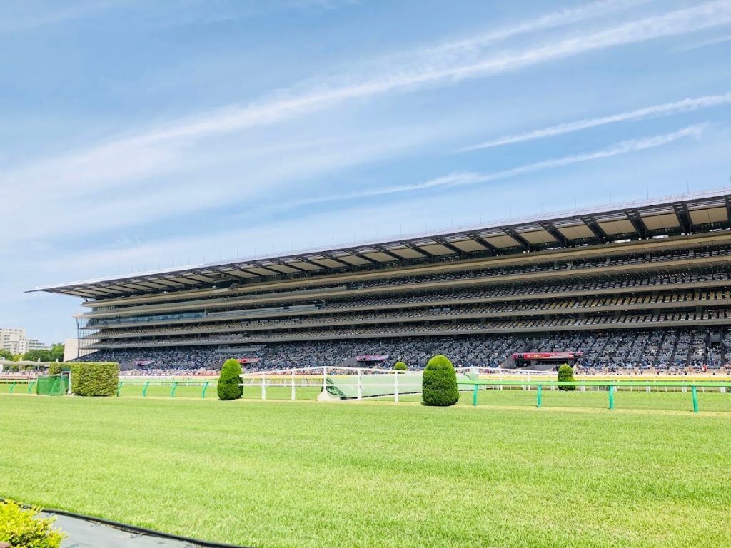 10 18 日 東京 京都 新潟 競馬予想 Off Uma Blog