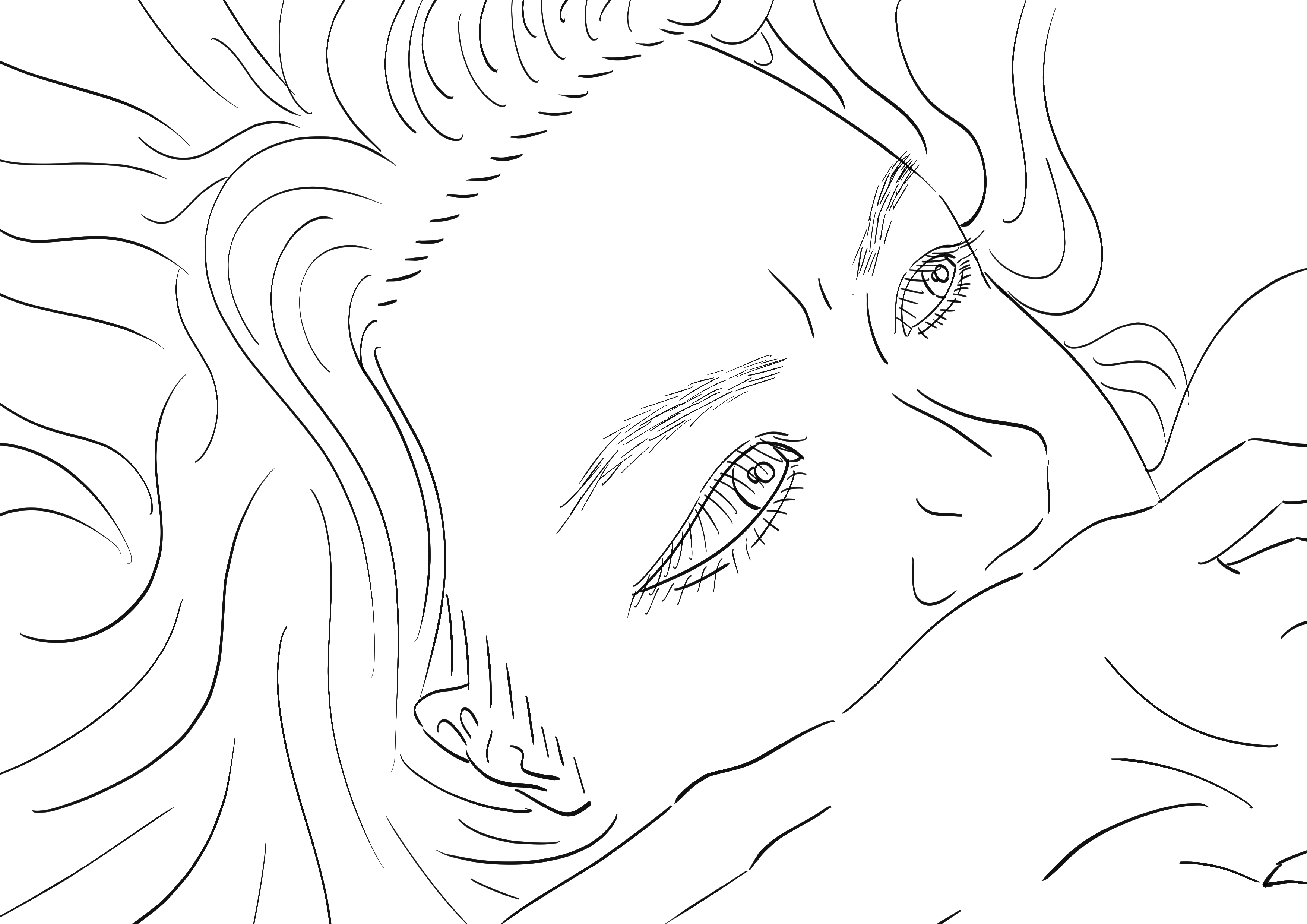 雑記簿帳・調法調度