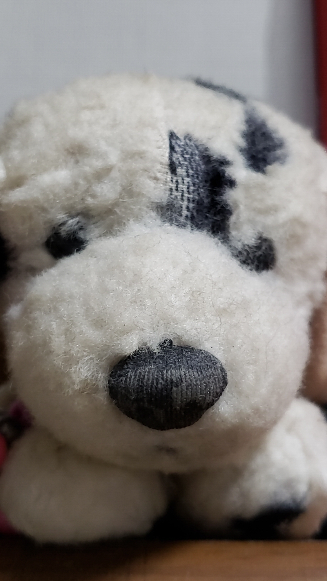 精神障害（メンタル）に関するWebメディア