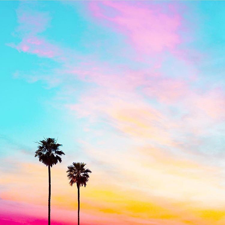 障害福祉（福祉）に関するWebメディア