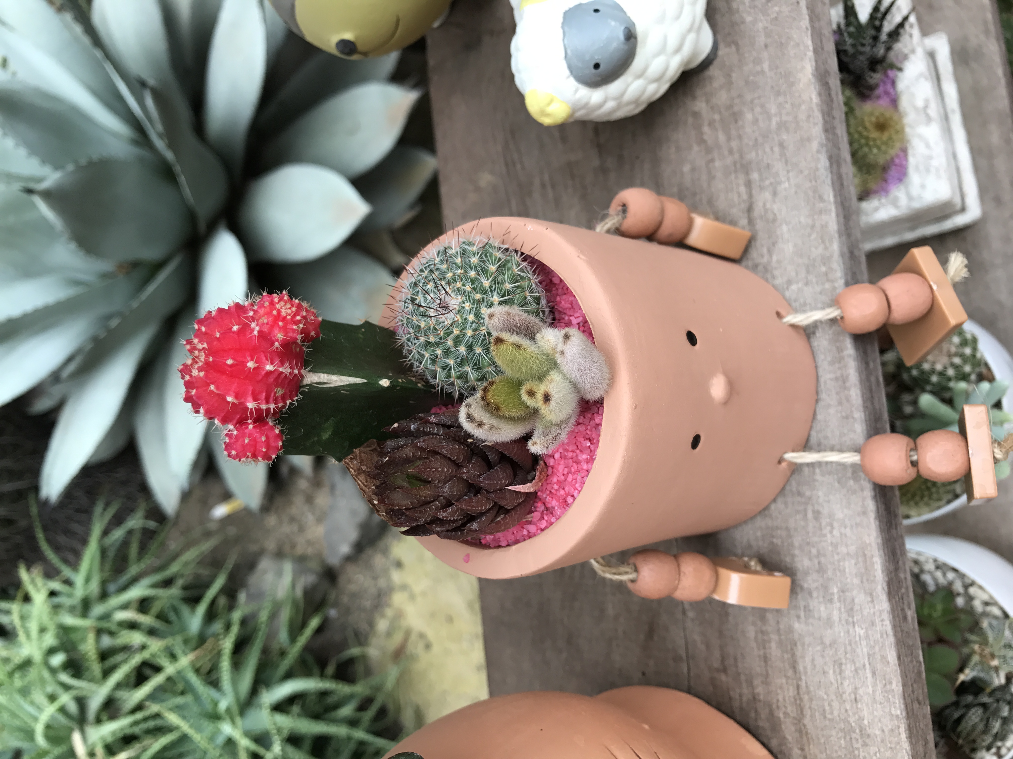 ベット 落ち サピックス