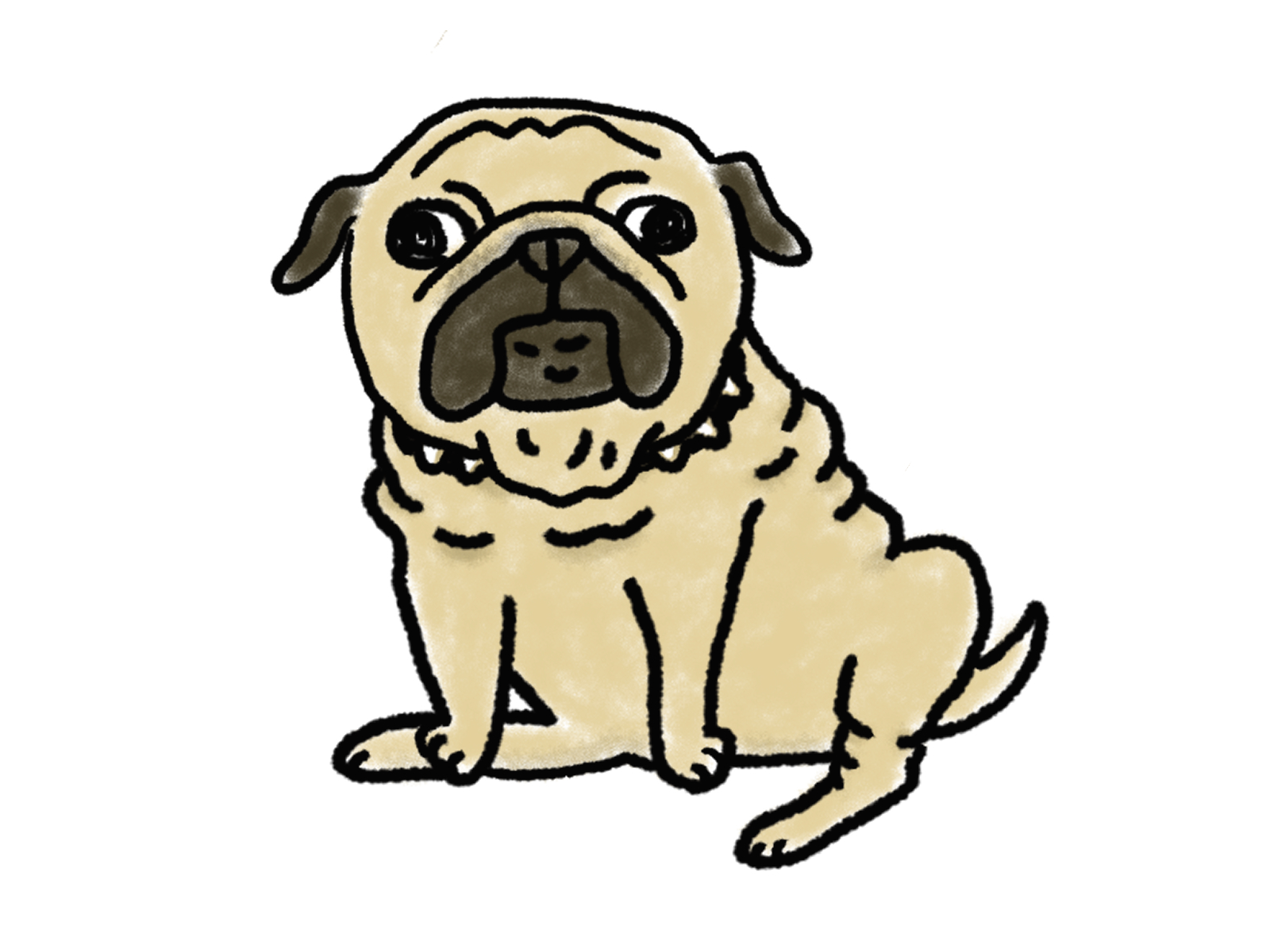 元保護犬パグのやり直し人（犬）生