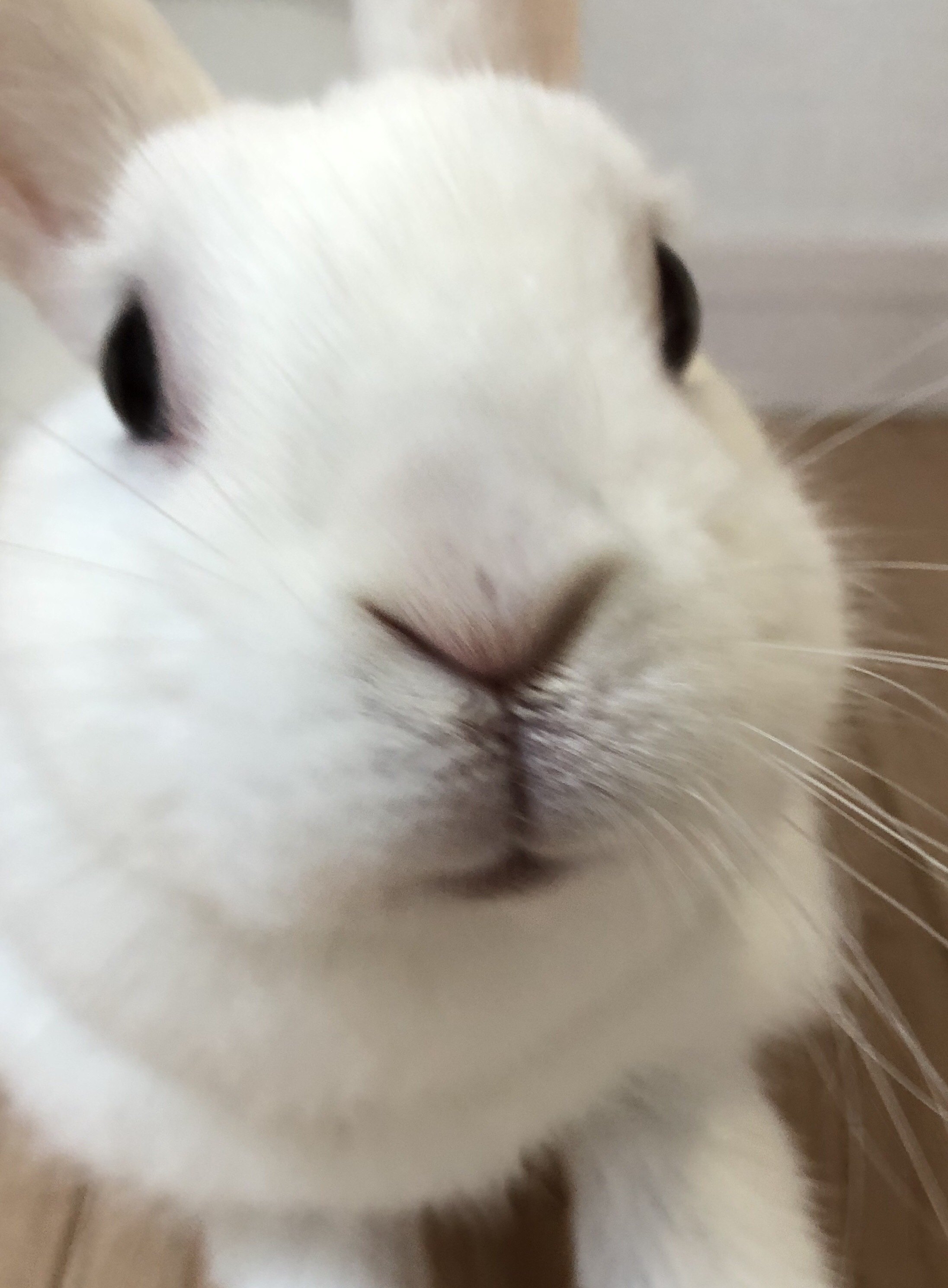 料理（料理）に関するWebメディア