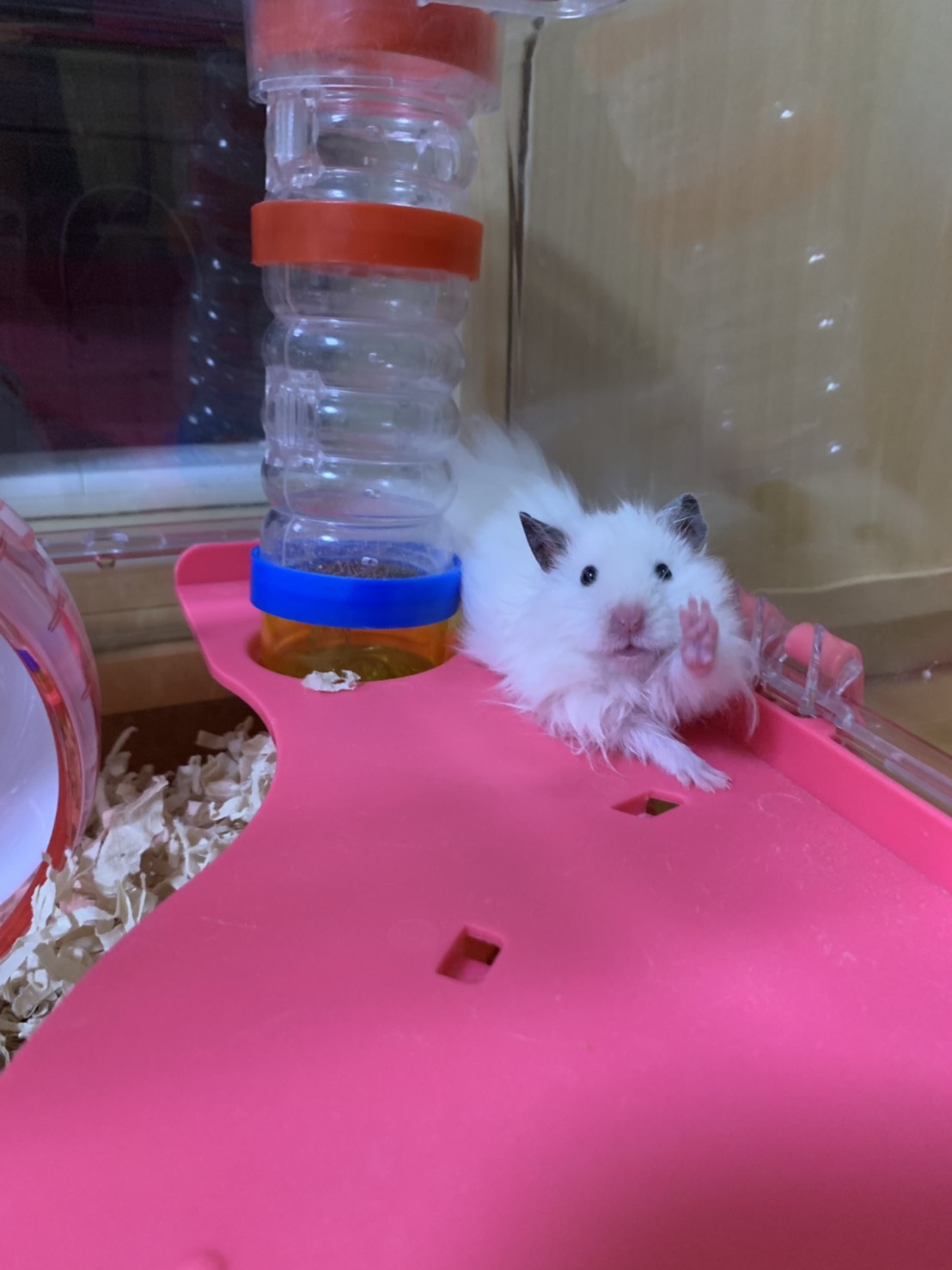 ツーリング（自動車＆自転車＆バイク）に関するWebメディア