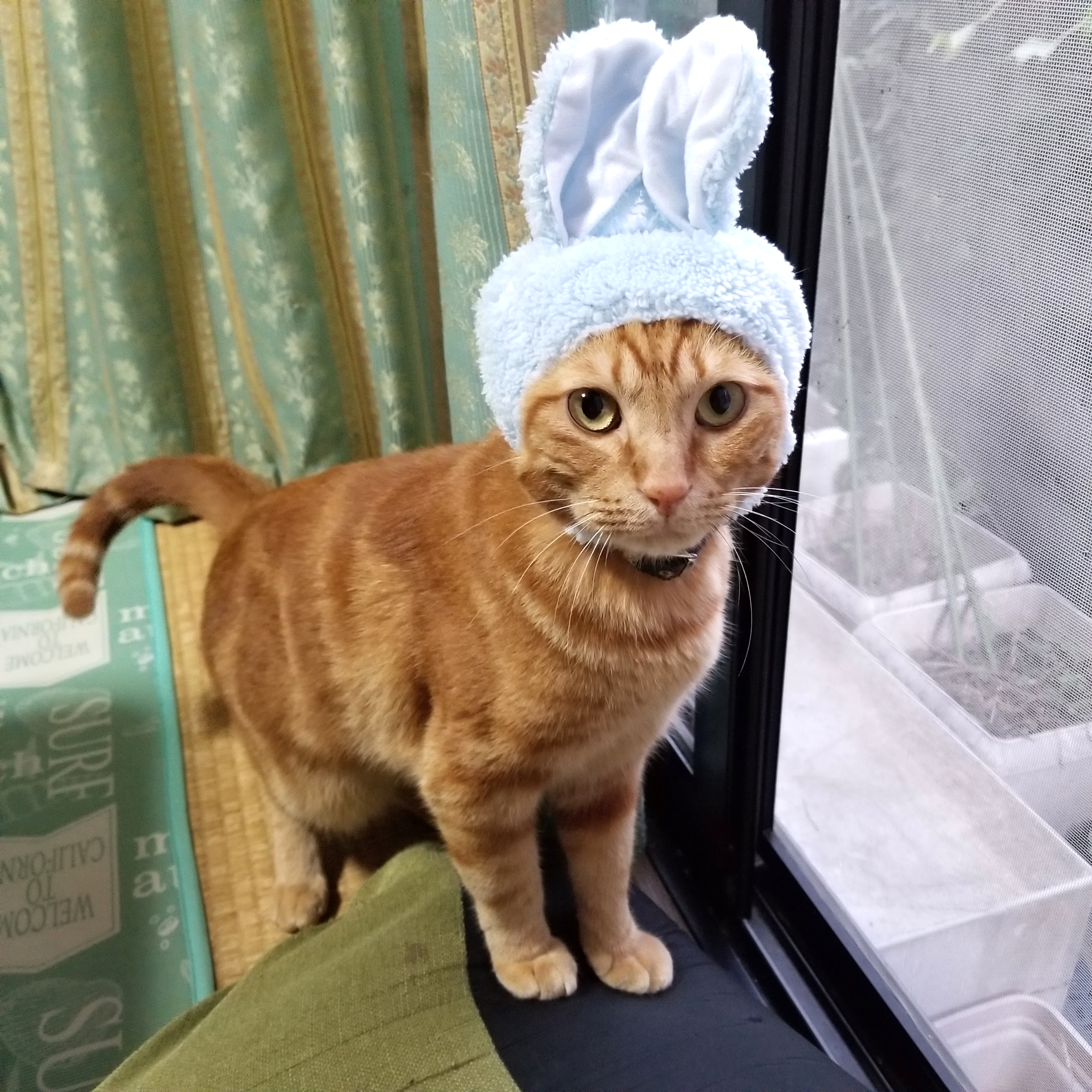 京都（旅行＆地域）に関するWebメディア