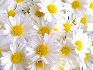 コスメ（美容＆ファッション）に関するWebメディア