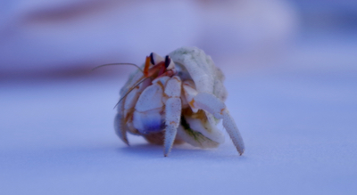 【子育て】0〜2歳育児で買ってよかったもの5選【健康・肌ケア編】 - セミリタイアへの道のりのアイキャッチ画像