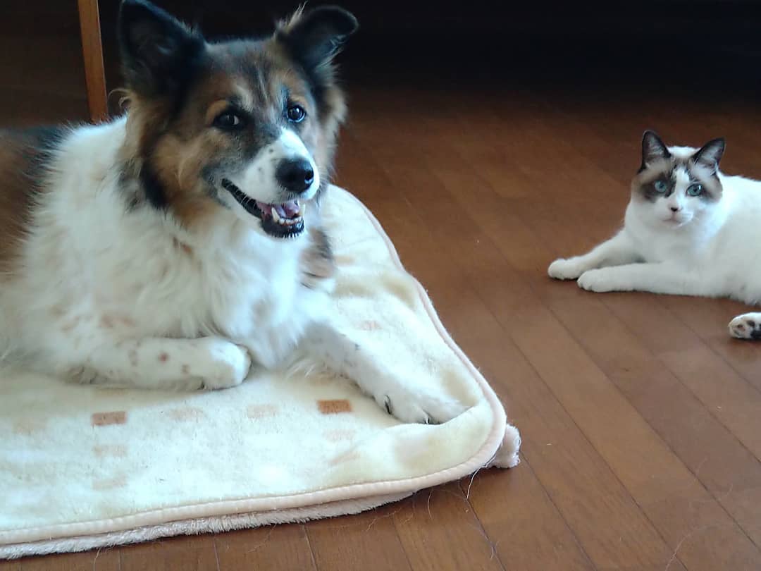 社長（仕事）に関するWebメディア