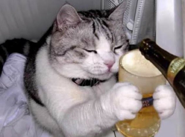 社長（仕事）に関するWebメディア