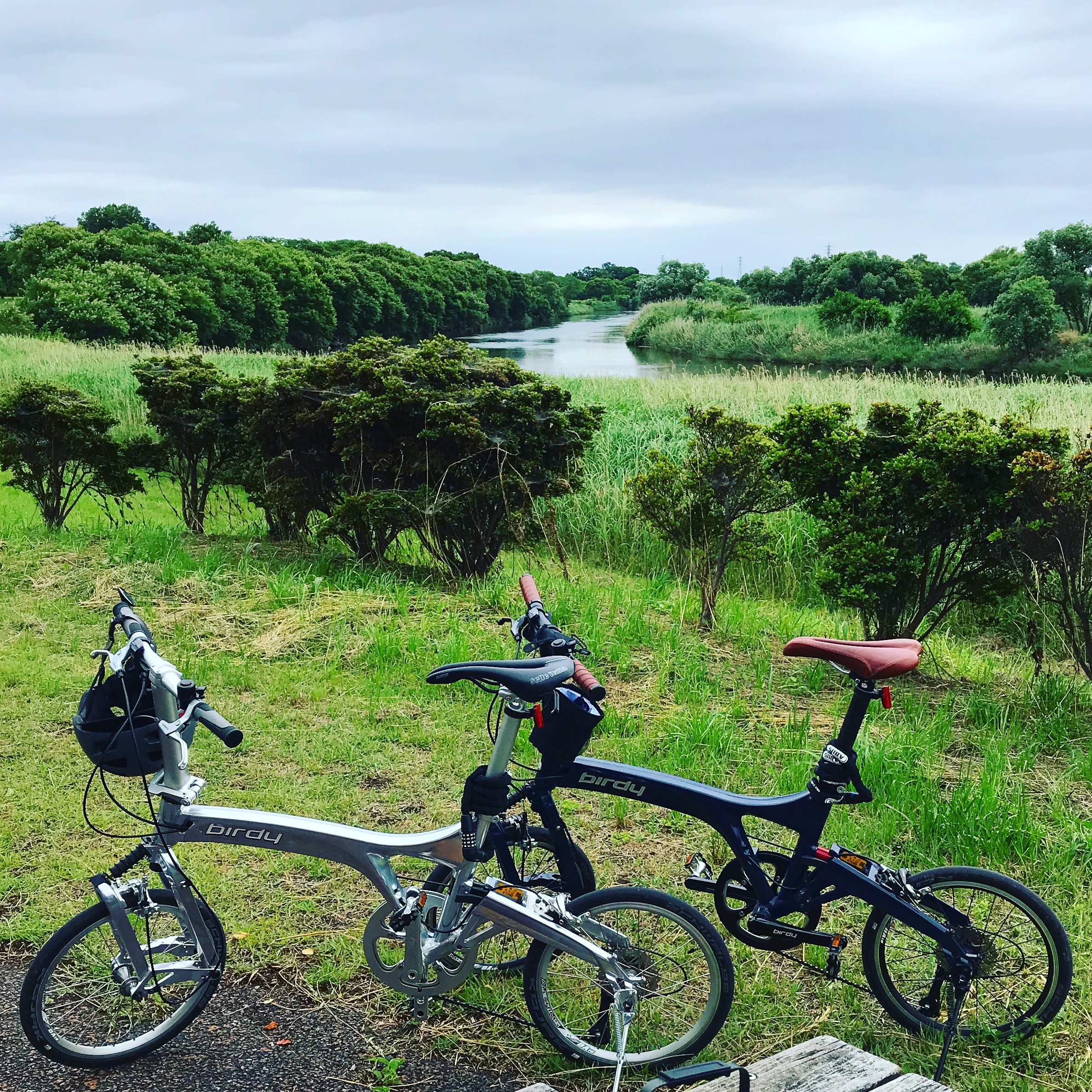 車・茨城県（自動車＆自転車＆バイク・旅行＆地域）に関するWebメディア