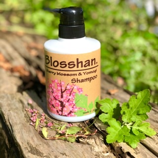 化粧品（美容＆ファッション）に関するWebメディア