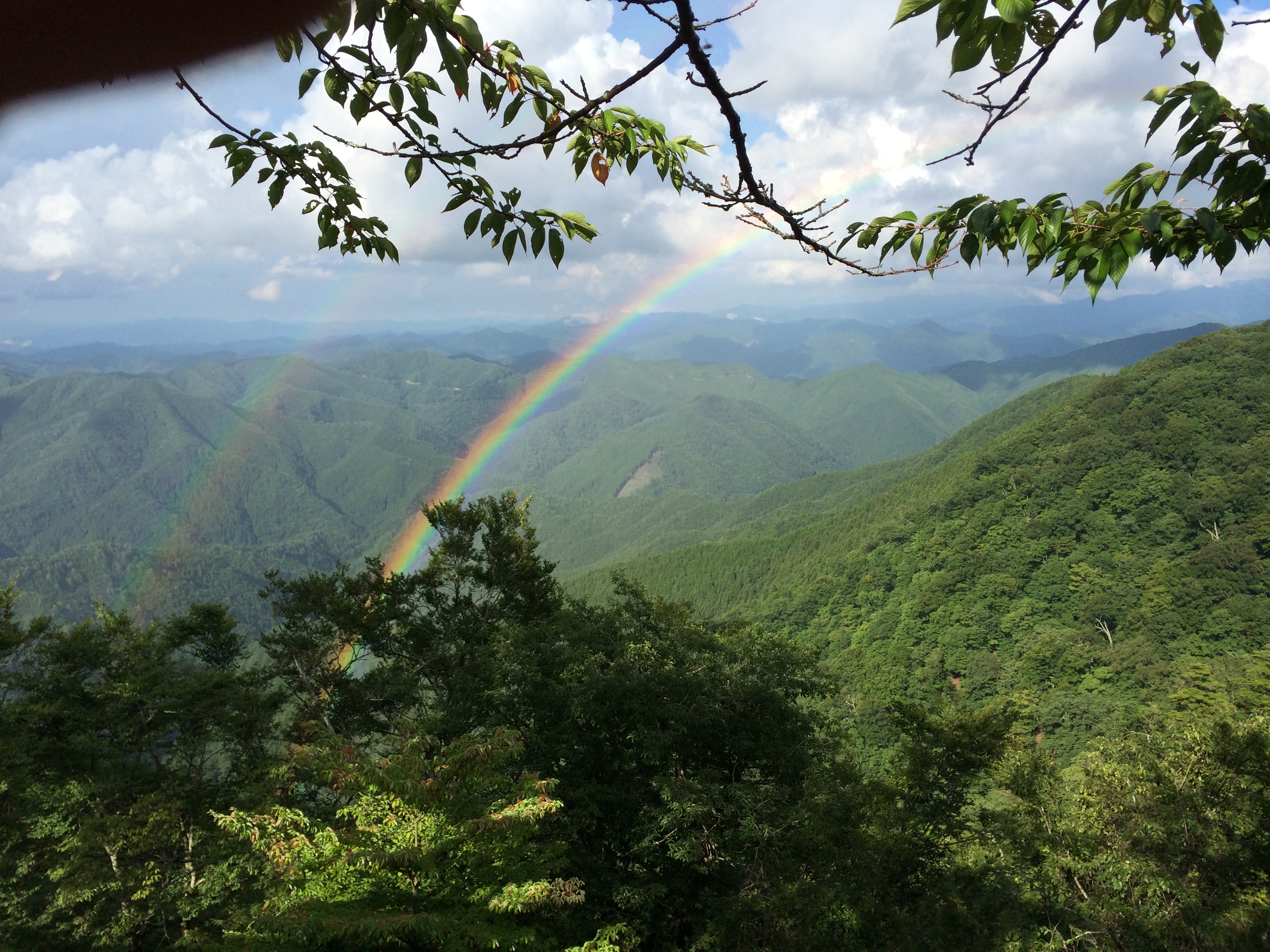 バイク（自動車＆自転車＆バイク）に関するWebメディア