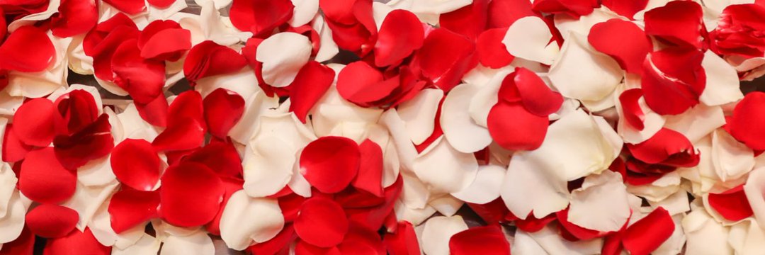 コスメ（美容＆ファッション）に関するWebメディア