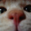 ツーリング（自動車＆自転車＆バイク）に関するWebメディア